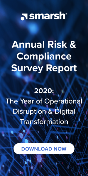 assets annual risk compliance report 2020 300x600