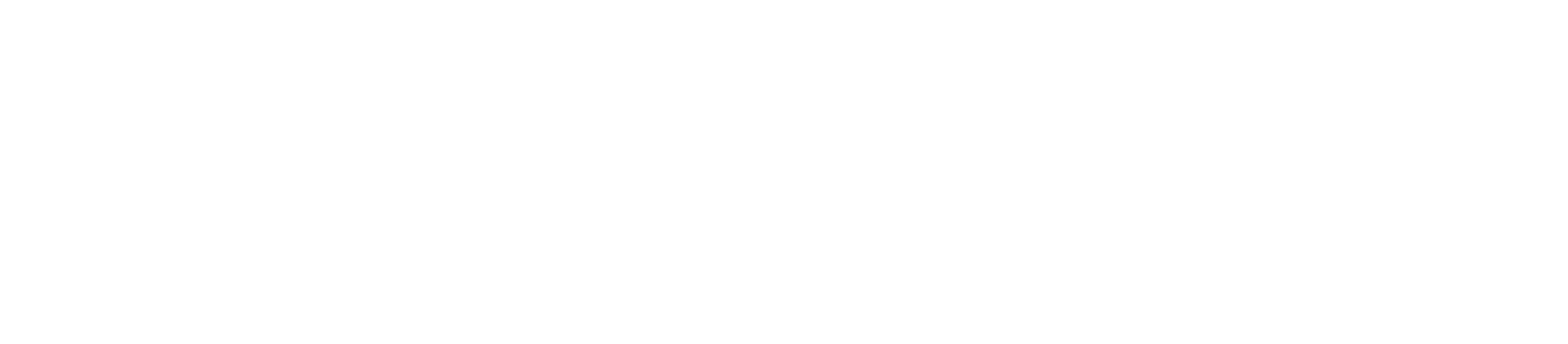 professional supervision logo